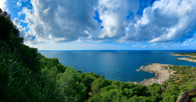 Discovery Porto Selvaggio: al via un contest fotografico 
